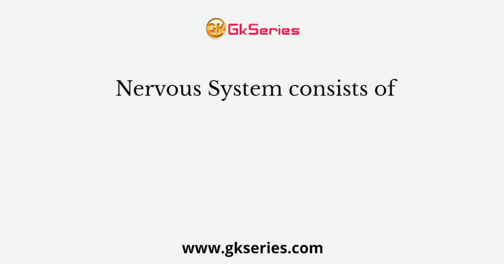 Nervous System consists of