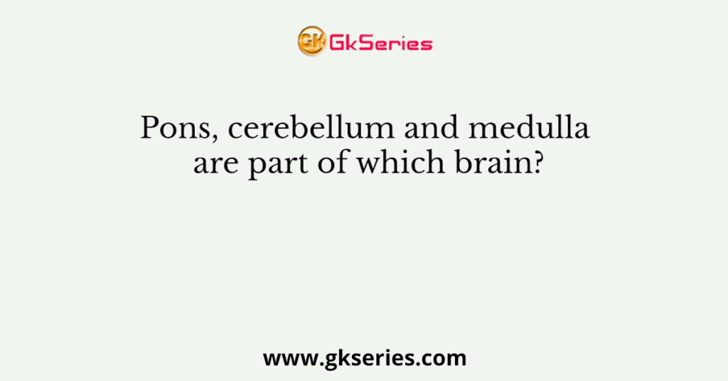 Pons, cerebellum and medulla are part of which brain?