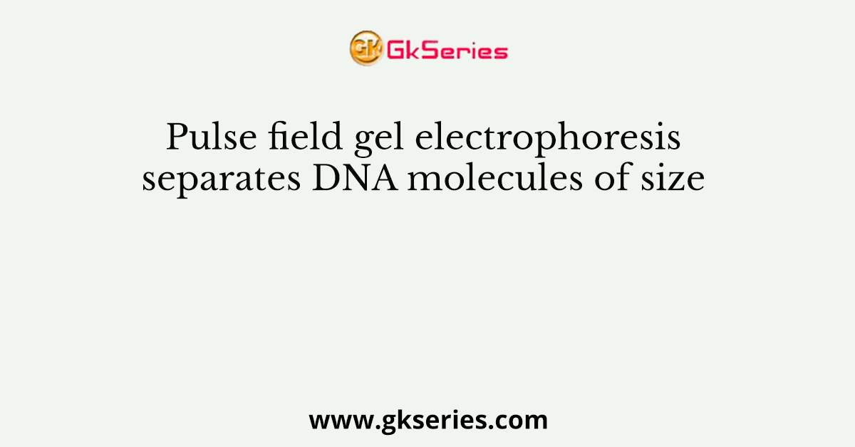Pulse field gel electrophoresis separates DNA molecules of size
