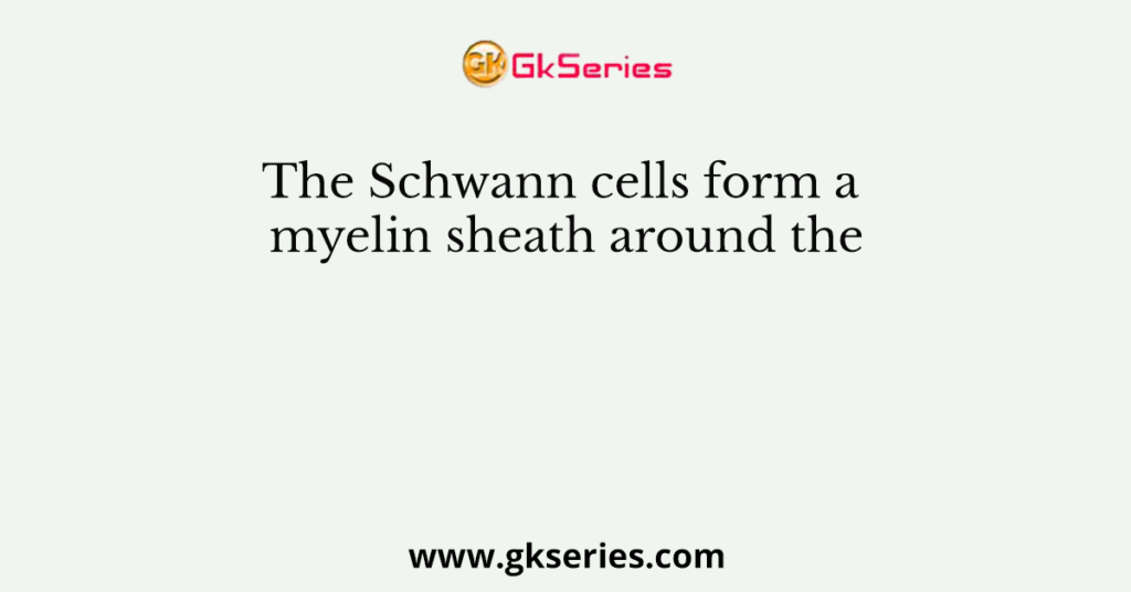 The Schwann cells form a myelin sheath around the