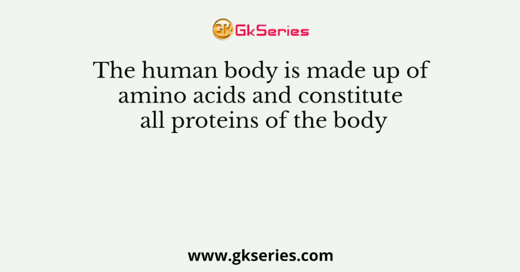 The human body is made up of amino acids and constitute all proteins of the body