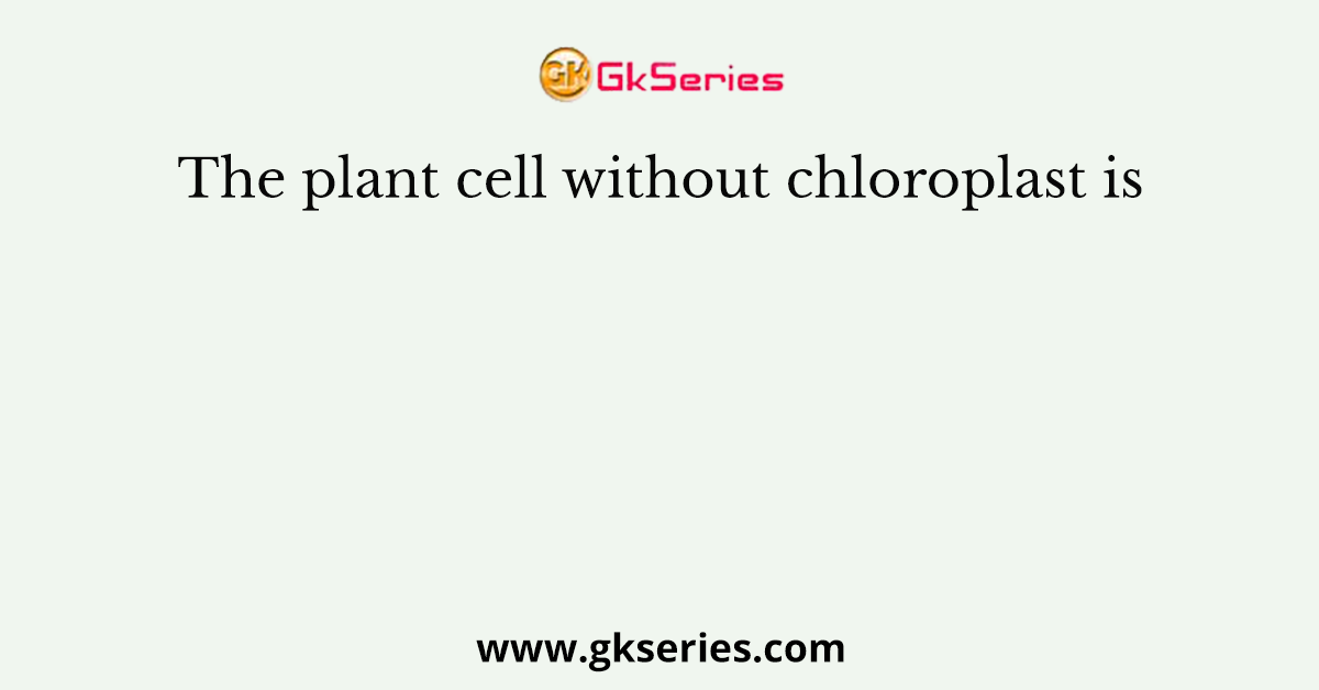 The plant cell without chloroplast is