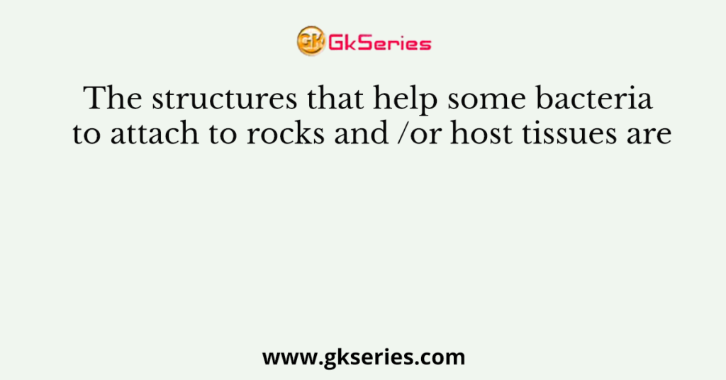 The structures that help some bacteria to attach to rocks and /or host tissues are