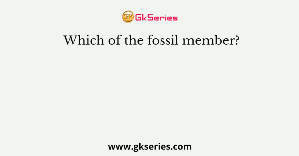 Which of the fossil member?