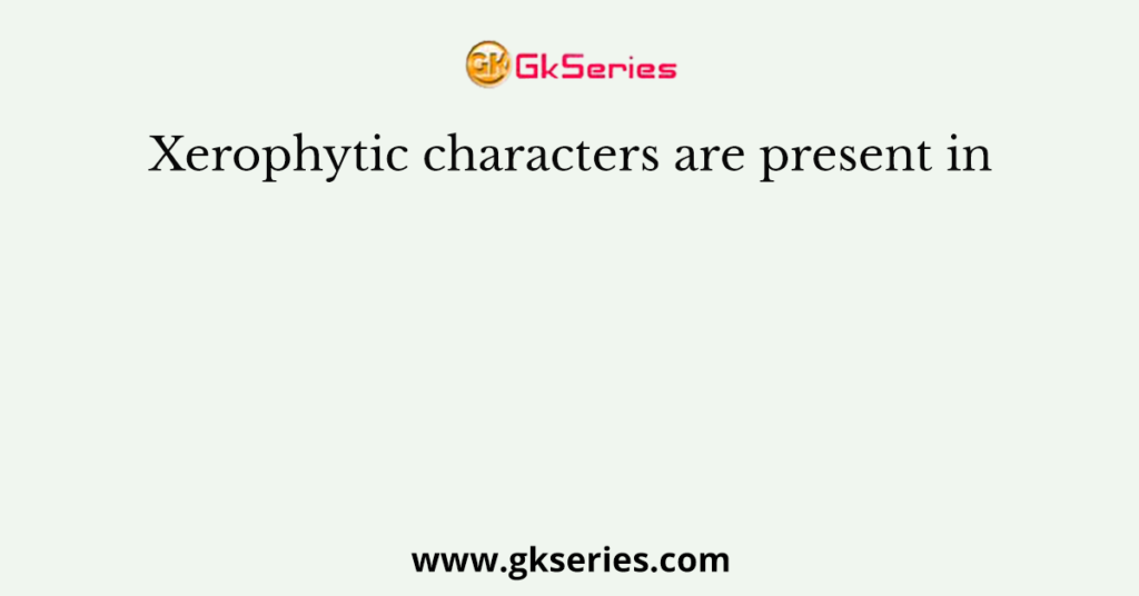 Xerophytic characters are present in