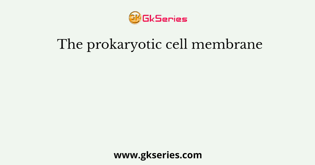 The prokaryotic cell membrane
