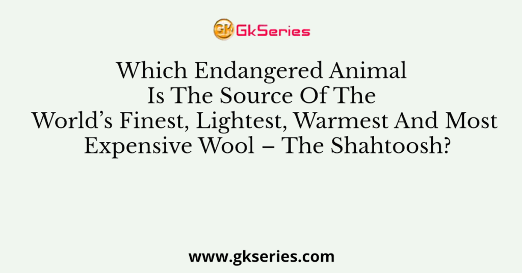 Which Endangered Animal Is The Source Of The World’s Finest, Lightest, Warmest And Most Expensive Wool – The Shahtoosh?