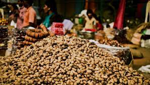 Groundnut Festival ‘Kadalekai Parishe’ begins in Karnataka