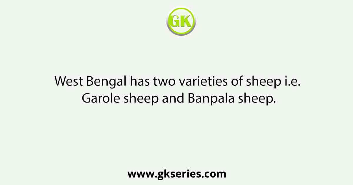 West Bengal has two varieties of sheep i.e. Garole sheep and Banpala sheep.