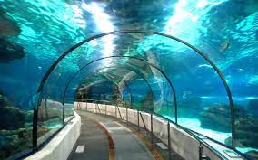 Assam’s First Underwater Tunnel To Come Up Under Brahmaputra