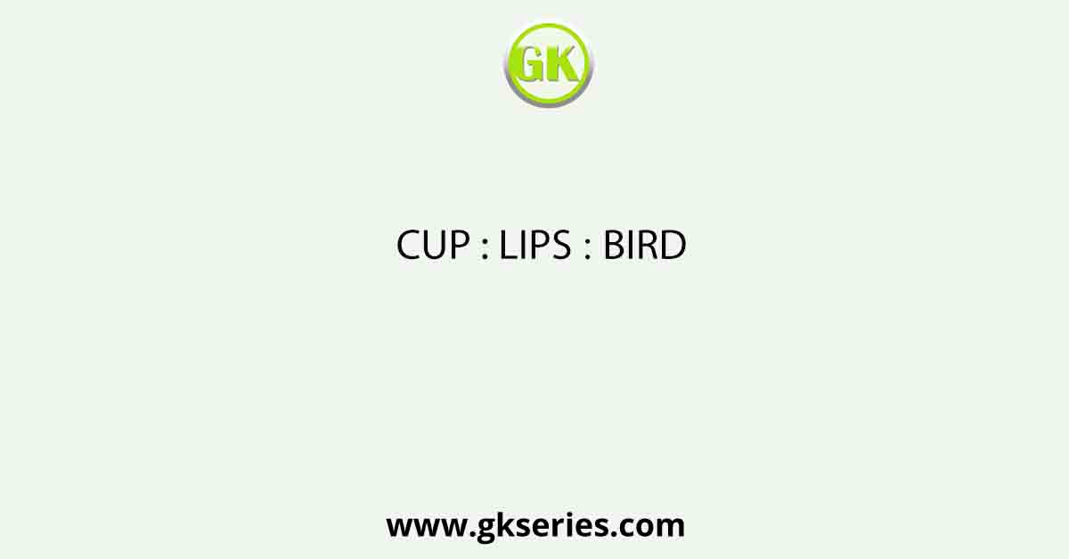 CUP : LIPS ∷ BIRD