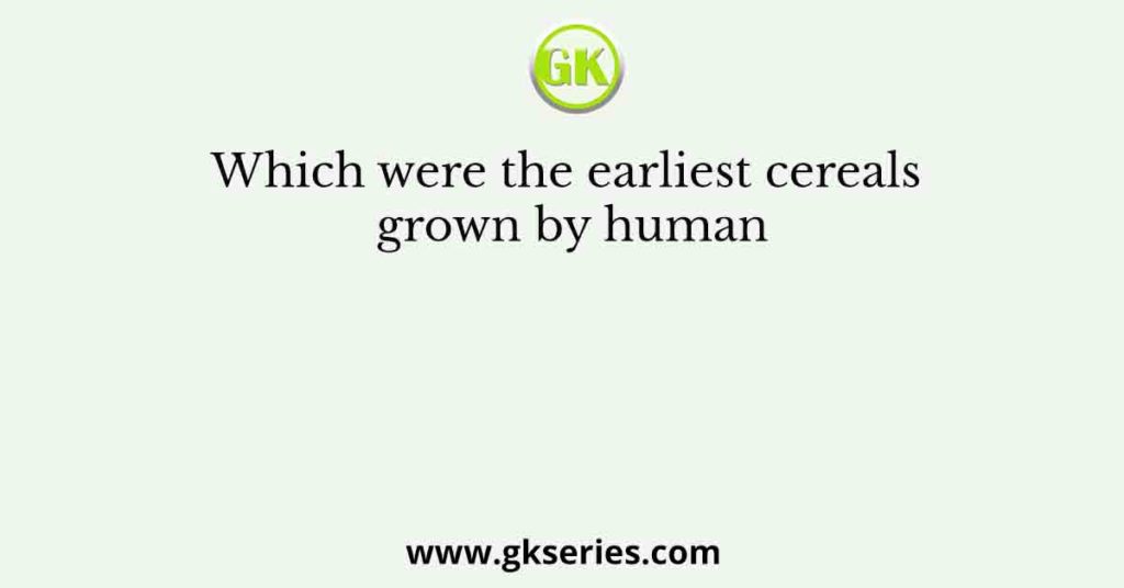 Which were the earliest cereals grown by human