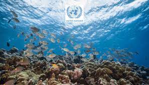 UN Adopt First-Ever Treaty to Protect Marine Life in High Seas