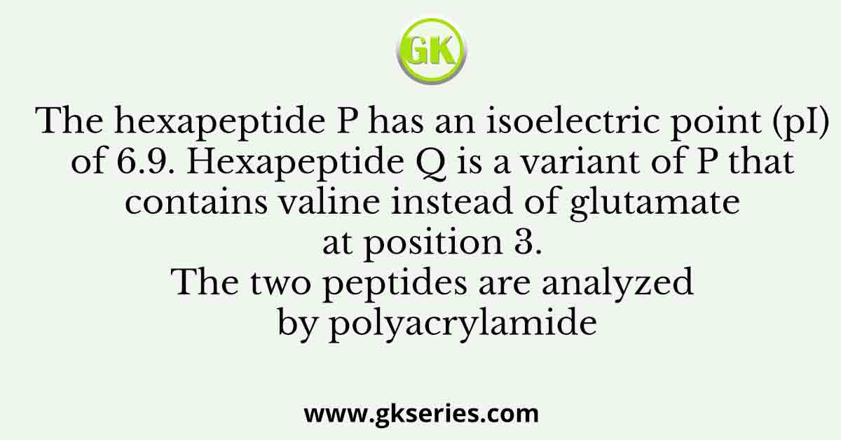 The hexapeptide P has an isoelectric point (pI) of 6.9. Hexapeptide Q is a variant of P that contains valine instead of glutamate at position 3. The two peptides are analyzed by polyacrylamide