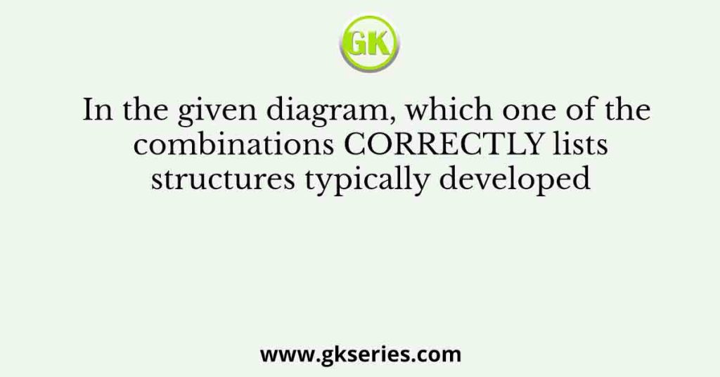 In the given diagram, which one of the combinations CORRECTLY lists structures typically developed