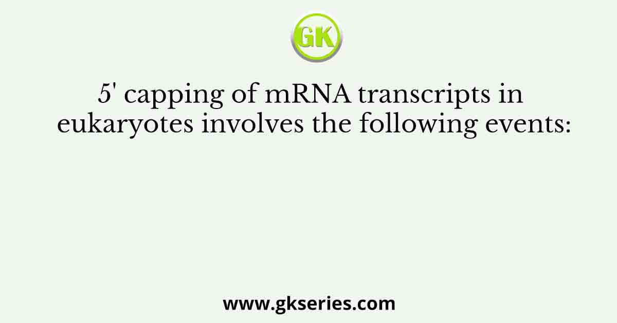 5' capping of mRNA transcripts in eukaryotes involves the following events: