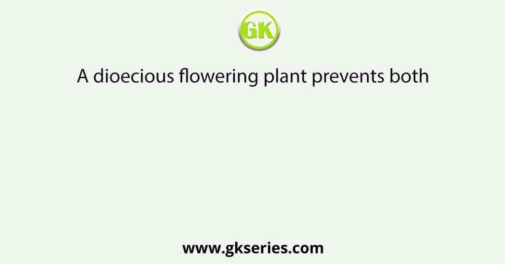 A dioecious flowering plant prevents both