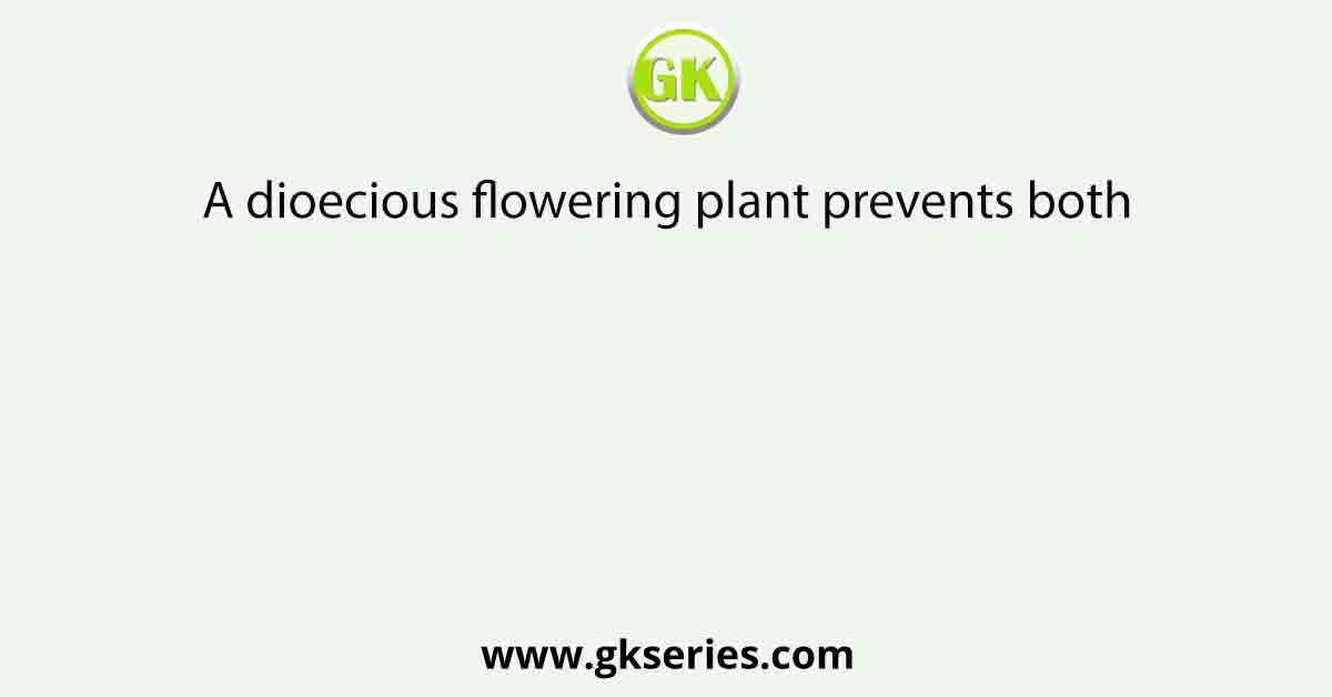 A dioecious flowering plant prevents both