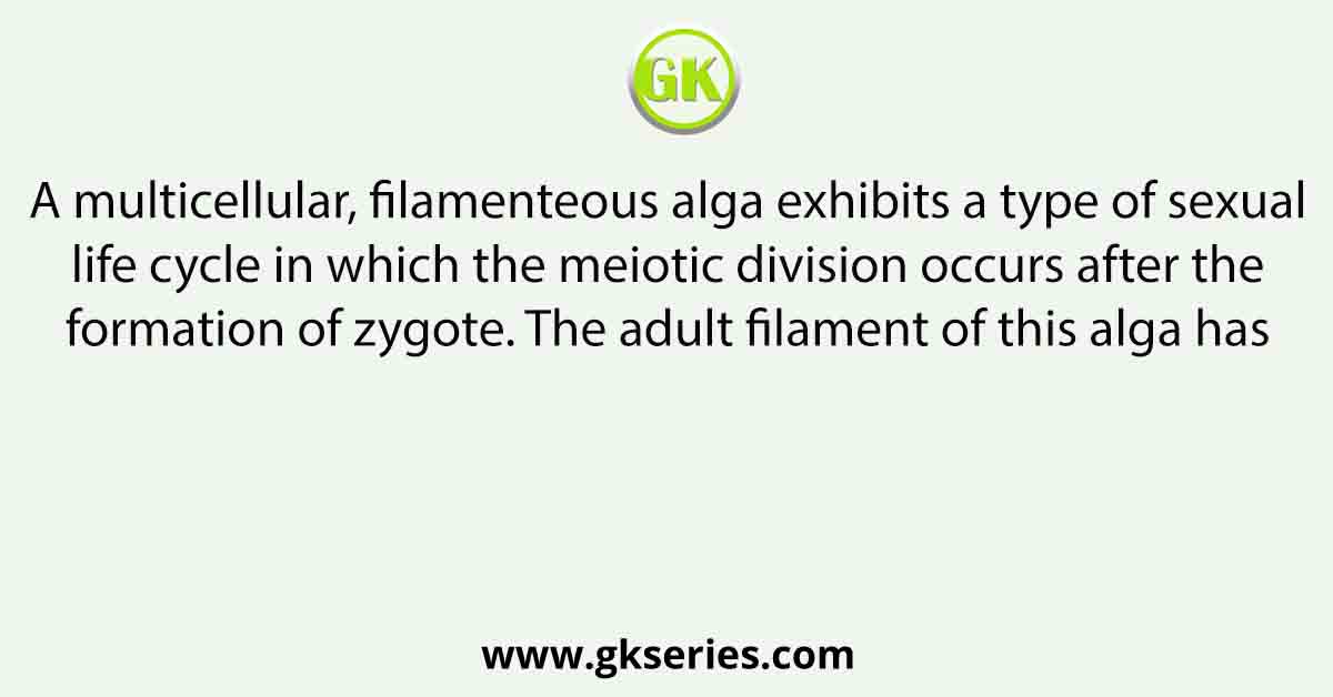 A multicellular, filamenteous alga exhibits a type of sexual life cycle in which the meiotic division occurs after the formation of zygote. The adult filament of this alga has