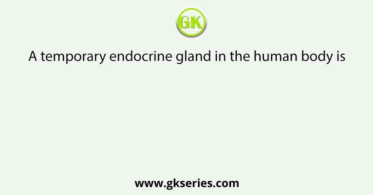 A temporary endocrine gland in the human body is