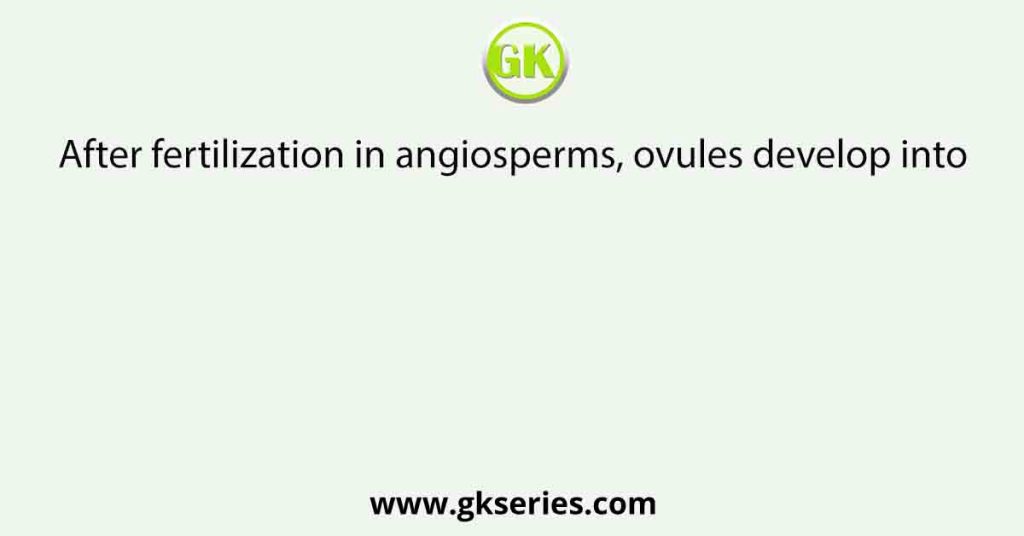 After fertilization in angiosperms, ovules develop into