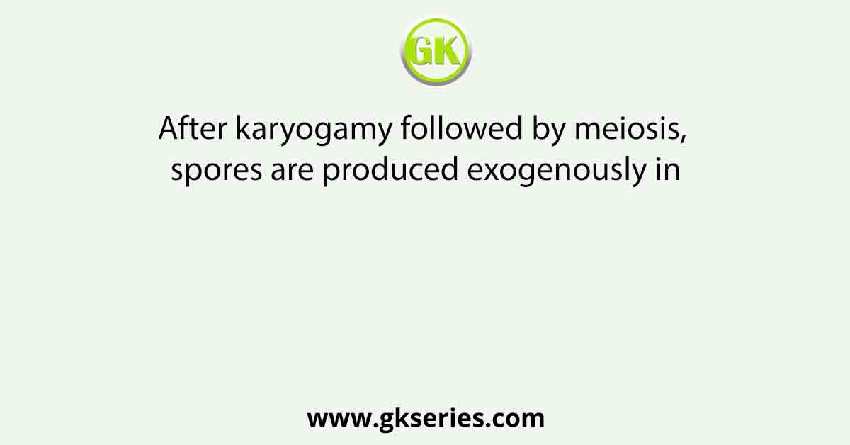 After karyogamy followed by meiosis, spores are produced exogenously in