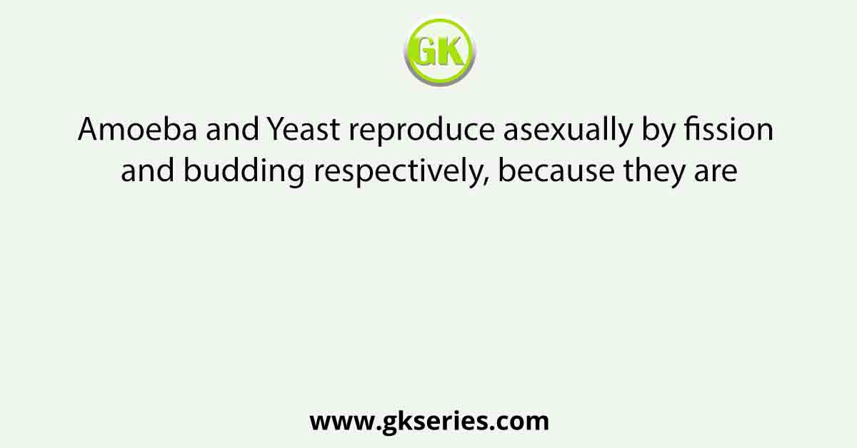 Amoeba and Yeast reproduce asexually by fission and budding respectively, because they are