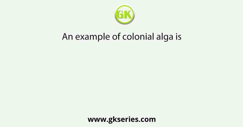 An example of colonial alga is