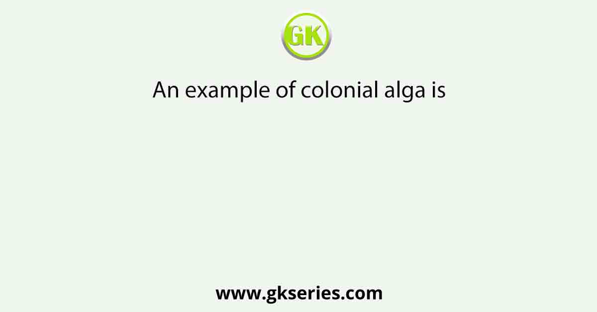 An example of colonial alga is