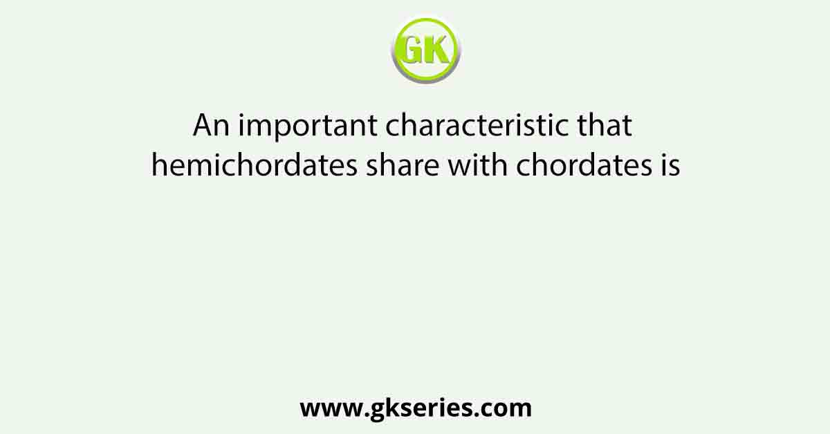 An important characteristic that hemichordates share with chordates is