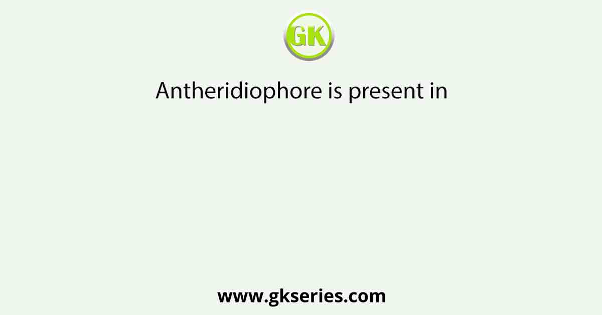 Antheridiophore is present in