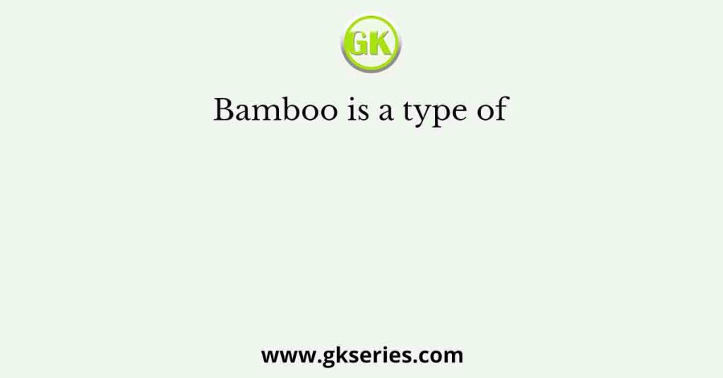 Bamboo is a type of  