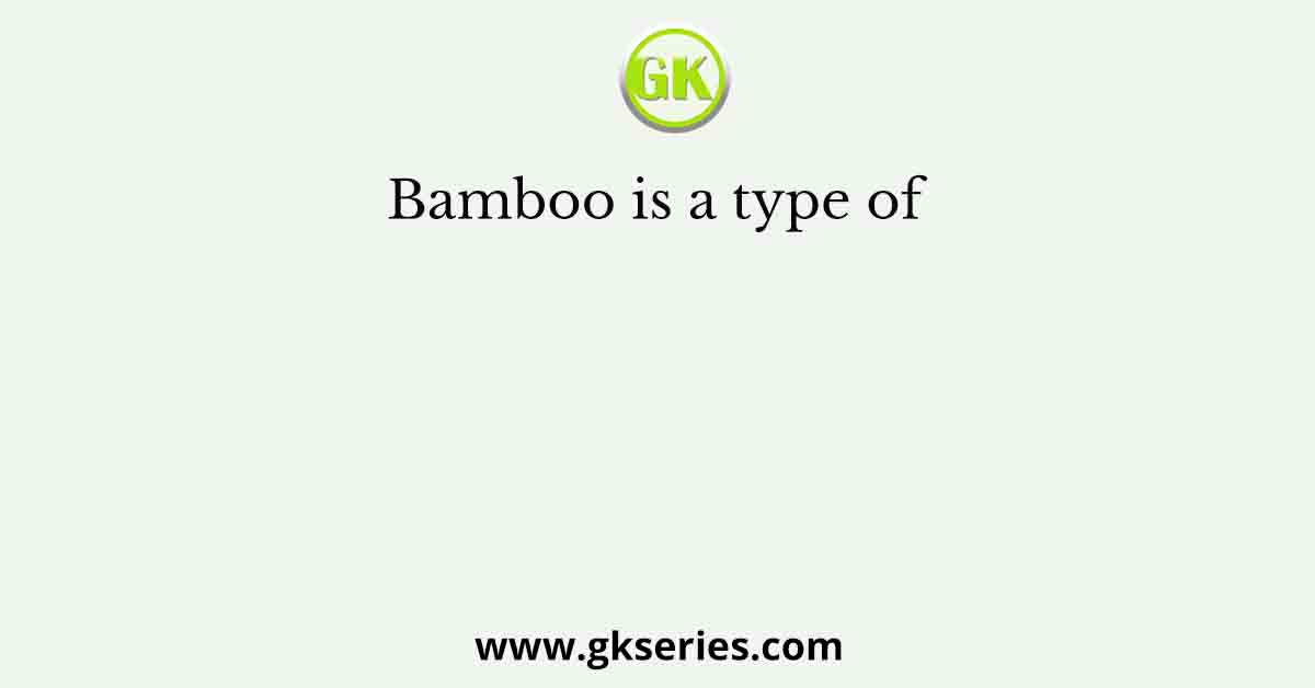 Bamboo is a type of  