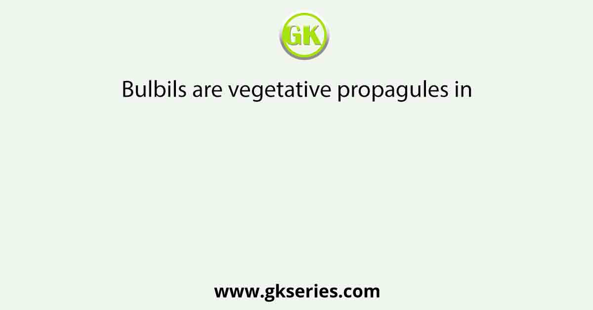 Bulbils are vegetative propagules in