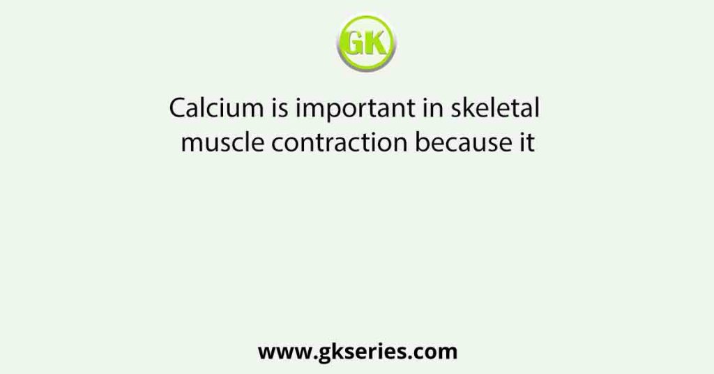 Calcium is important in skeletal muscle contraction because it