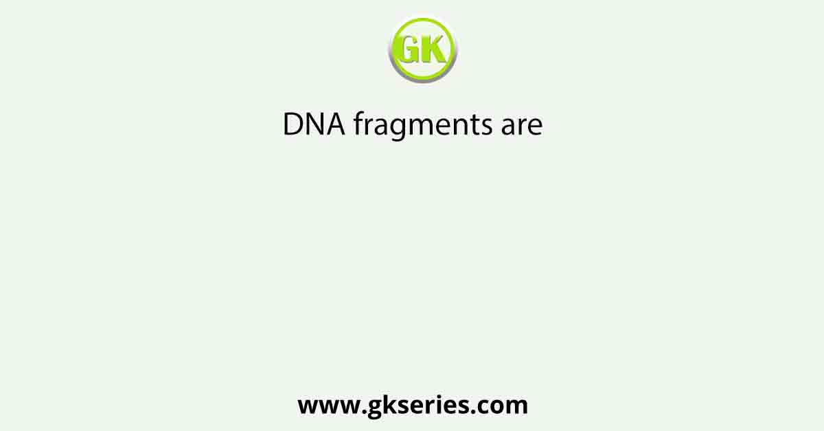 DNA fragments are