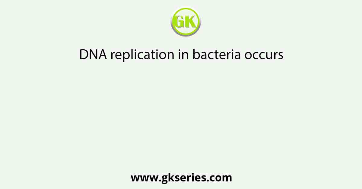 DNA replication in bacteria occurs