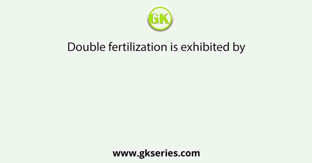 Double fertilization is exhibited by