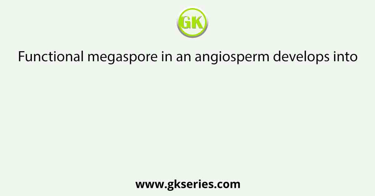 Functional megaspore in an angiosperm develops into
