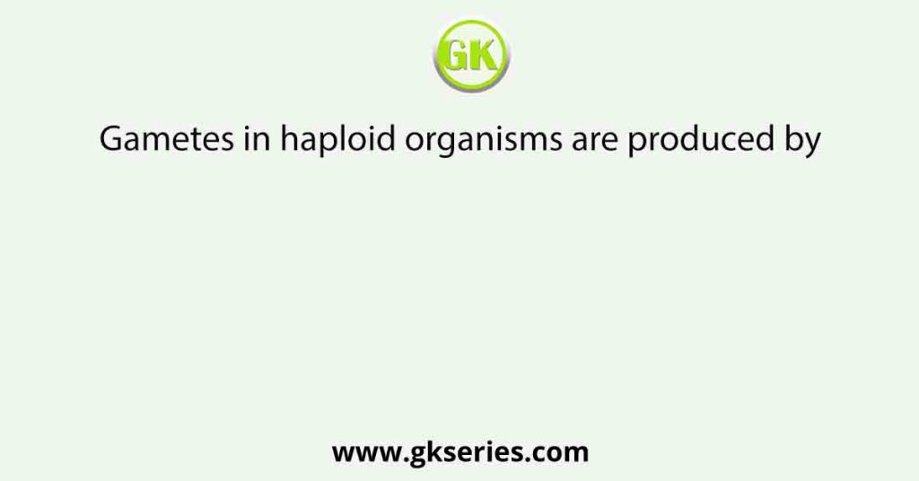 Gametes in haploid organisms are produced by