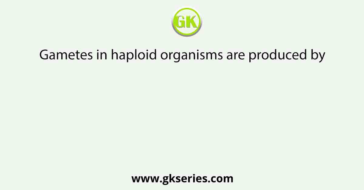 Gametes in haploid organisms are produced by