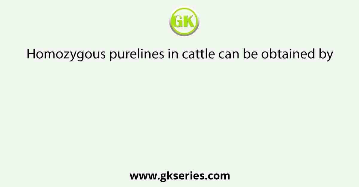 Homozygous purelines in cattle can be obtained by