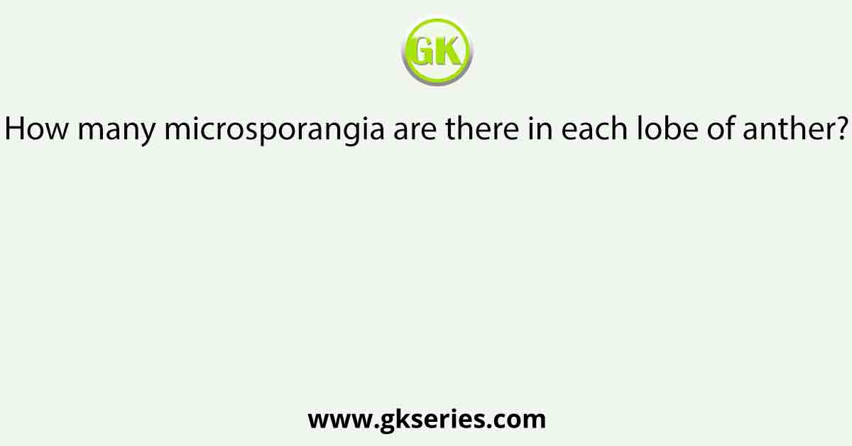 How many microsporangia are there in each lobe of anther?