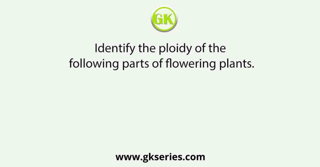 Identify the ploidy of the following parts of flowering plants.