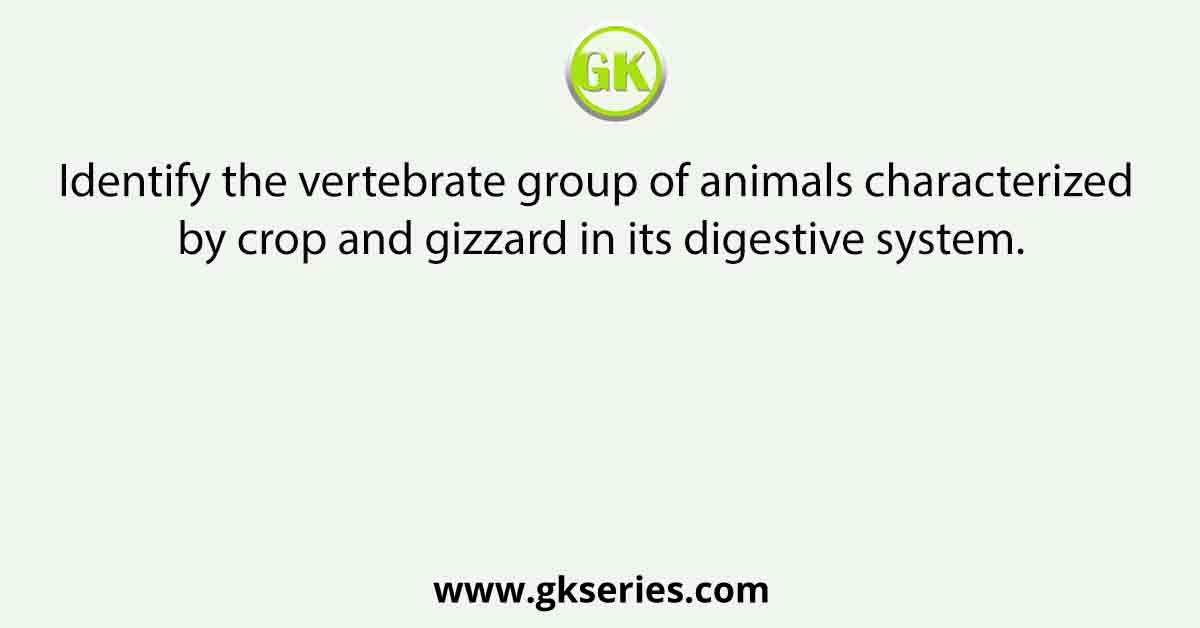 Identify the vertebrate group of animals characterized by crop and gizzard in its digestive system.