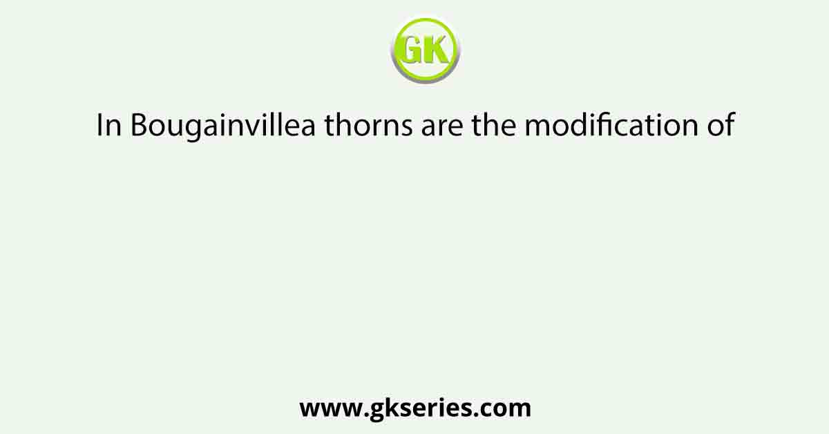In Bougainvillea thorns are the modification of
