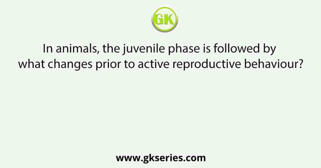 In animals, the juvenile phase is followed by what changes prior to active reproductive behaviour?