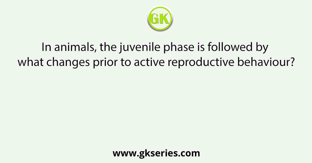 In animals, the juvenile phase is followed by what changes prior to active reproductive behaviour?