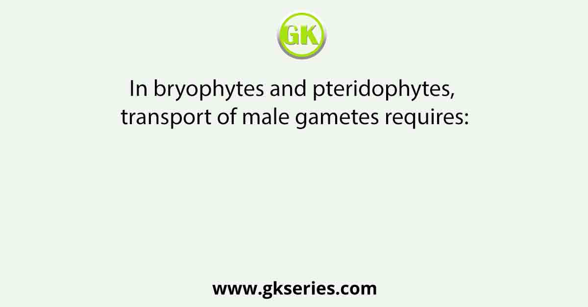 In bryophytes and pteridophytes, transport of male gametes requires: