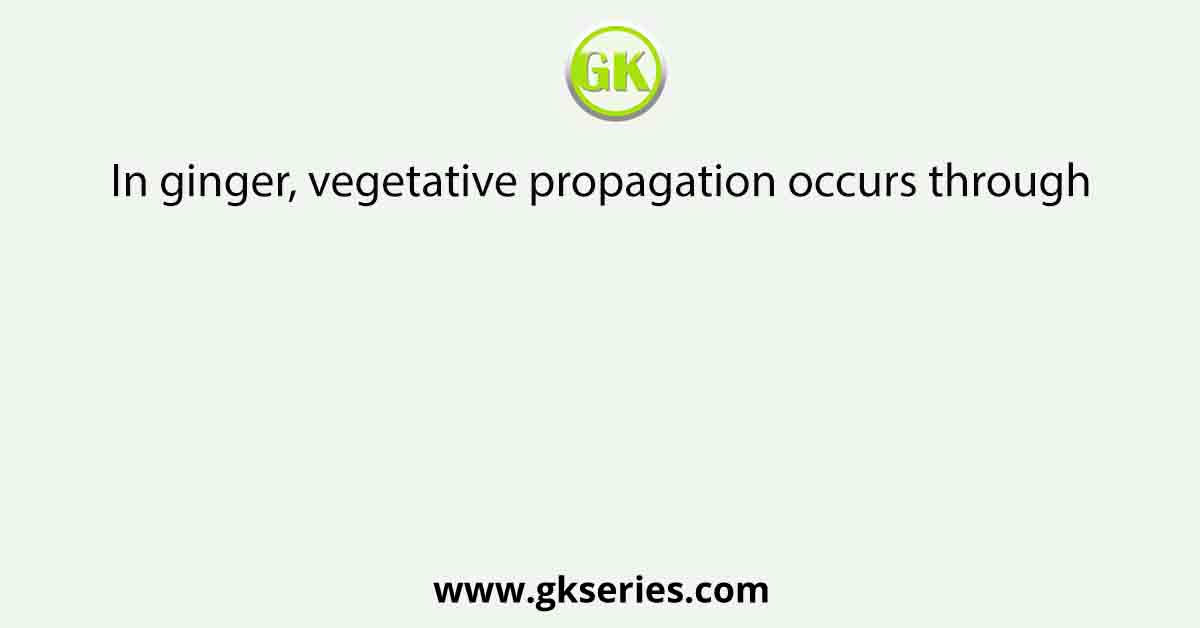 In ginger, vegetative propagation occurs through